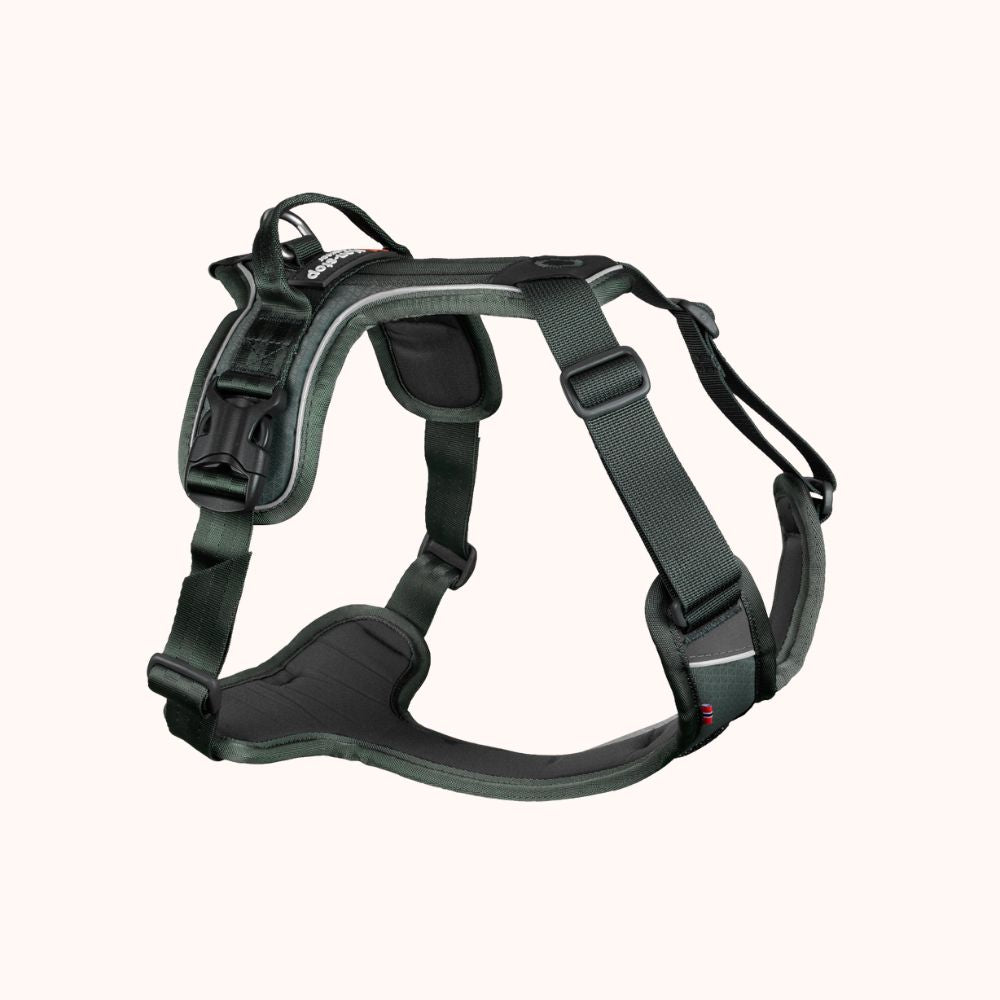 Ramble harness - hundesele