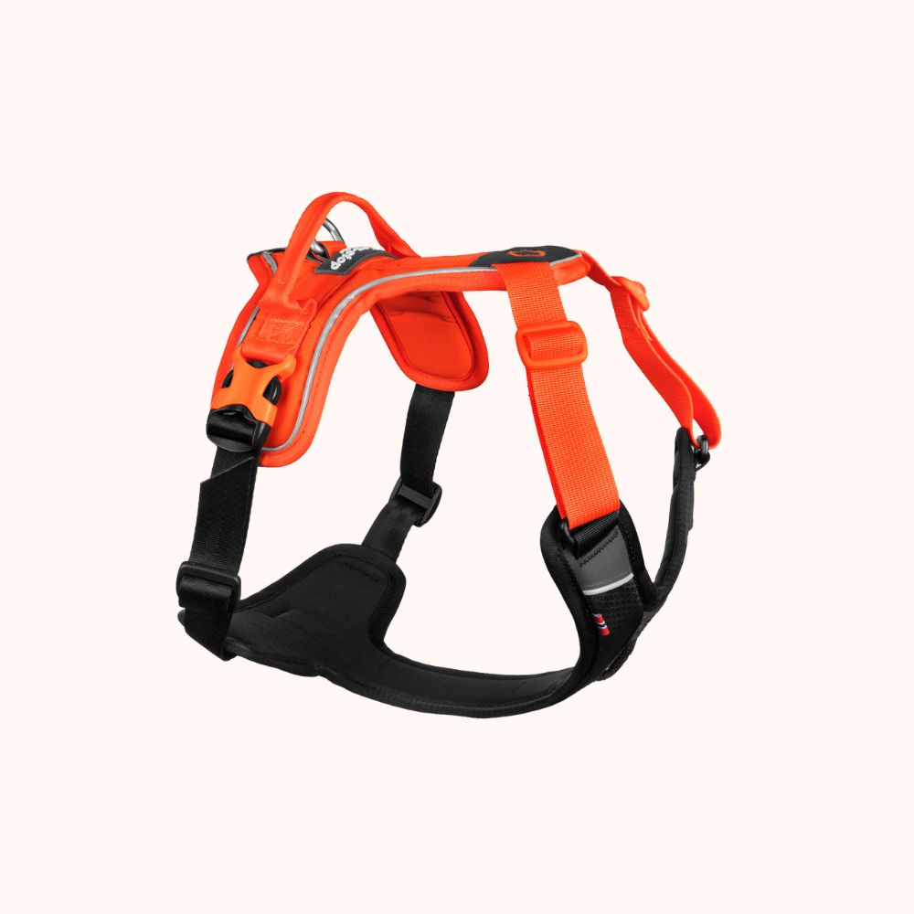 Ramble harness - hundesele