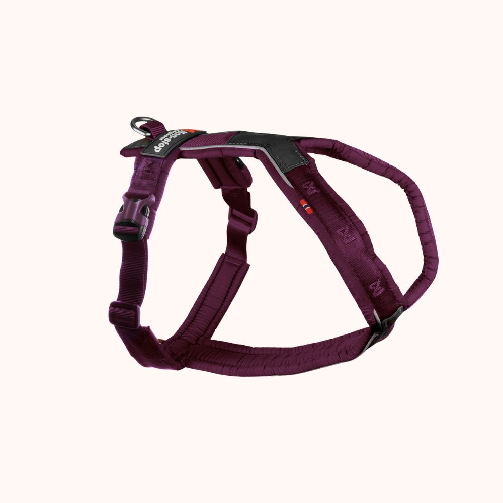 Line harness 5.0 - hundesele
