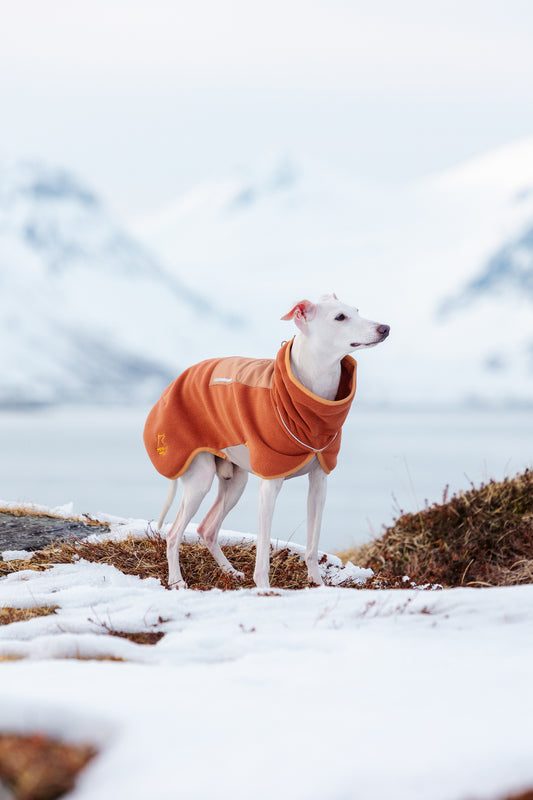 Alpha 360 Fleece Pullover – Terracotta/Clay