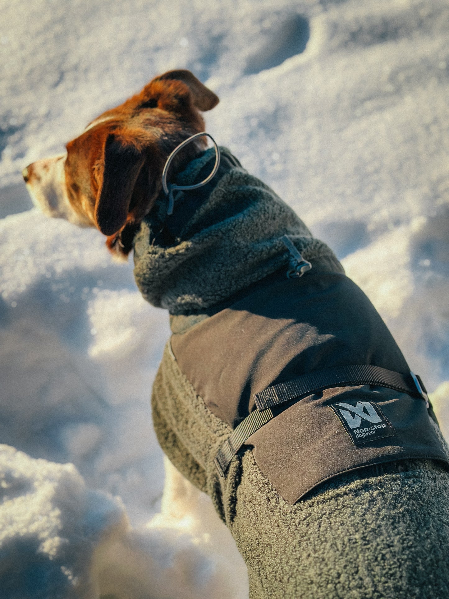 Wool dog jacket - dækken med uld