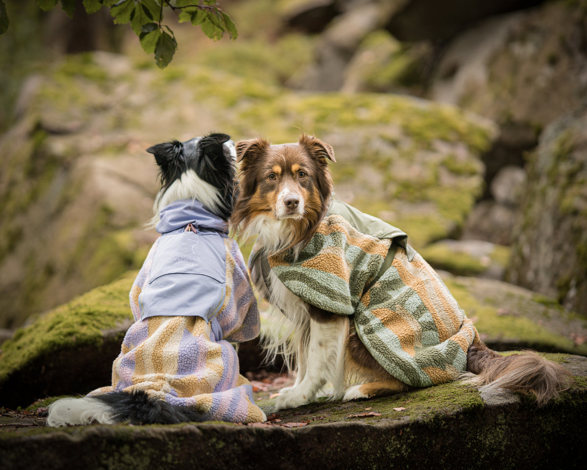 Borealis Pile Fleece jacket - Sunshower