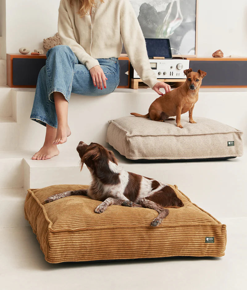 Dog Bed, Cuadra - hundepude i fløjl