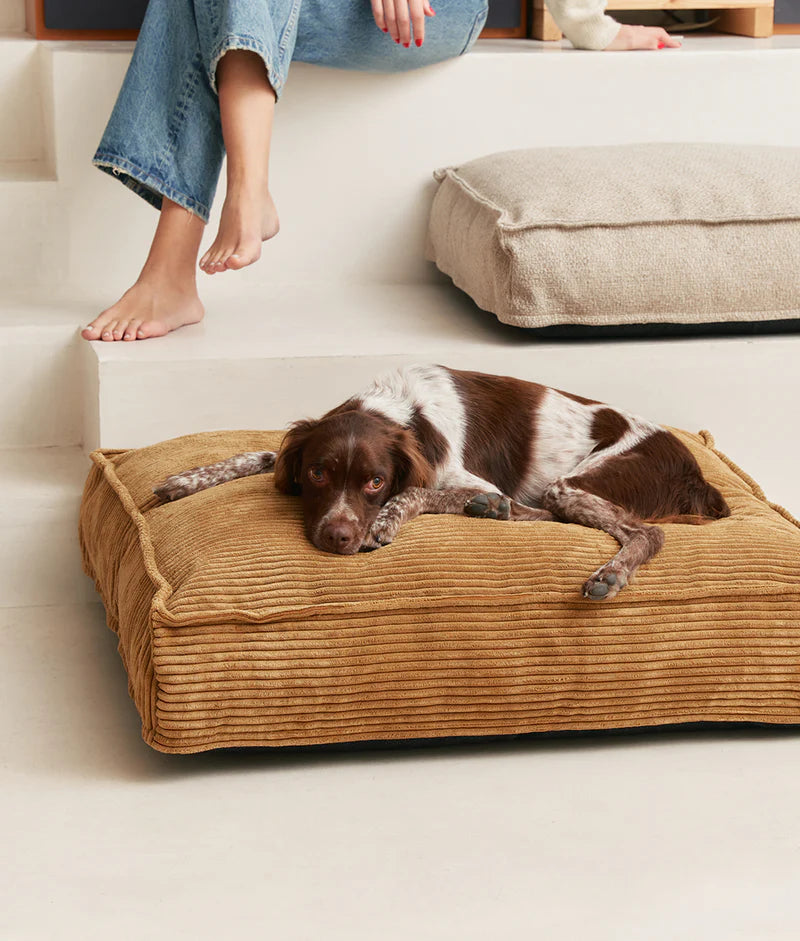 Dog Bed, Cuadra - hundepude i fløjl