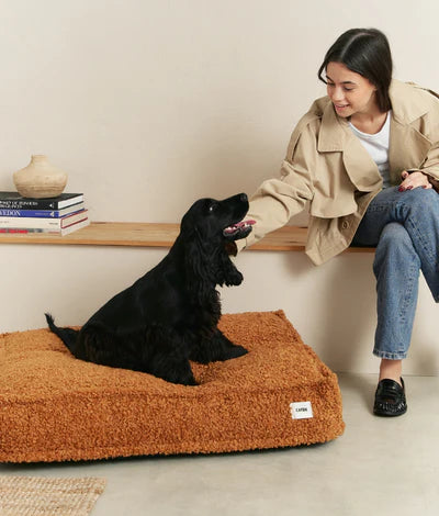 Flece Dog Bed, Cuadra - hundepude i bamsestof