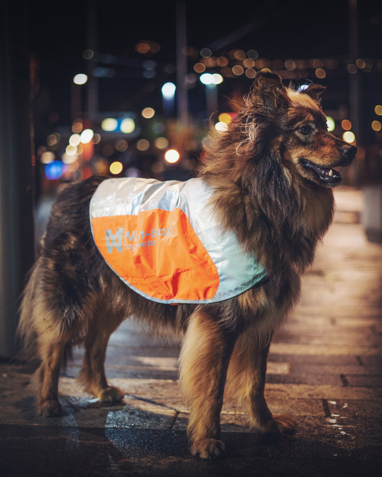 Reflection blanket - refleksvest til hunde