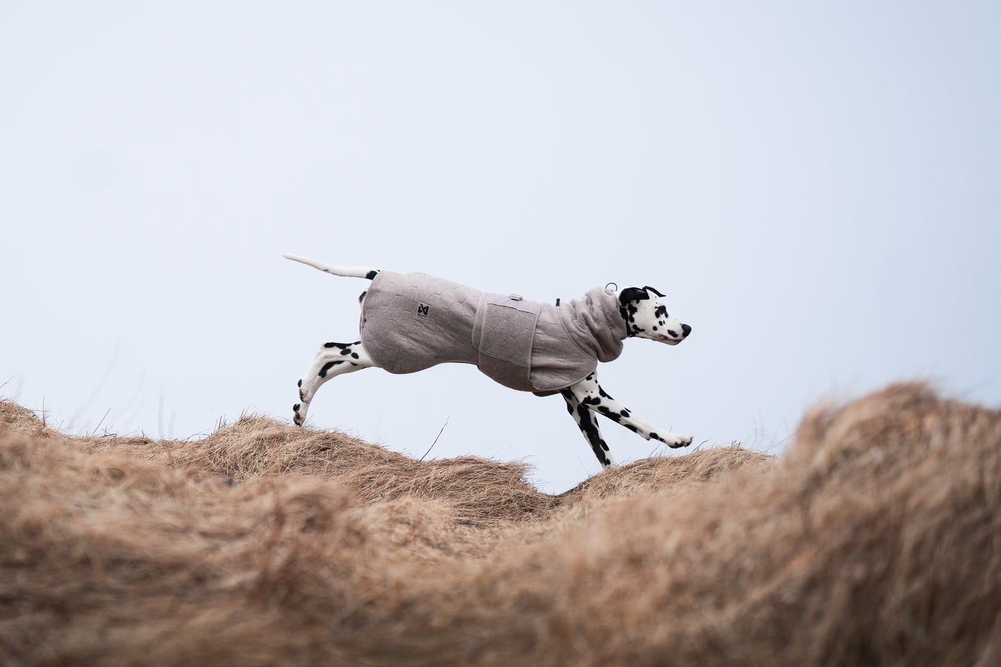Drying coat - tørredækken