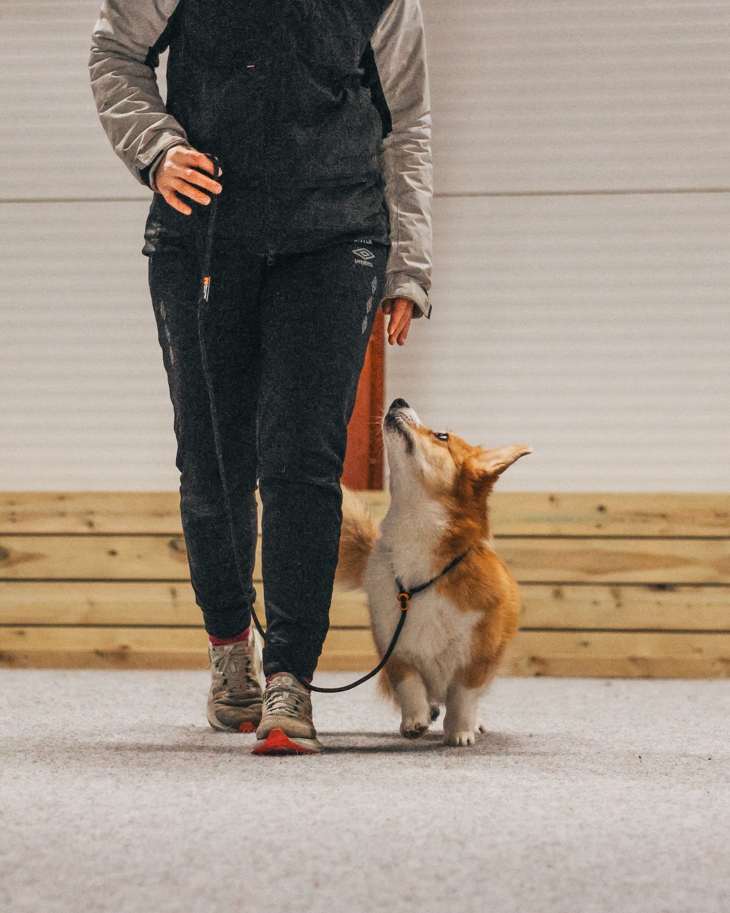 Retriever leash - retrieverline m. stop
