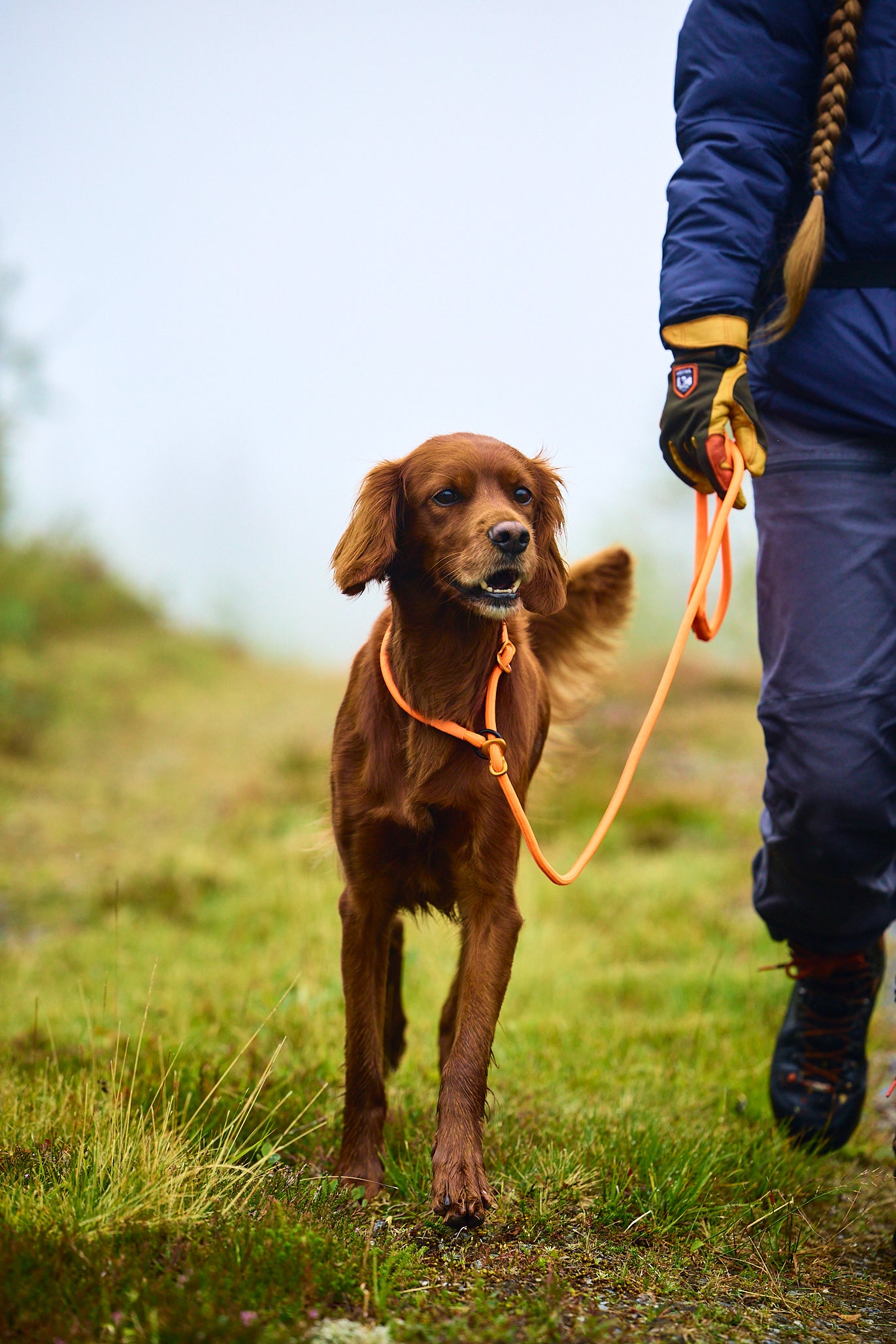 Retriever leash - retrieverline m. stop