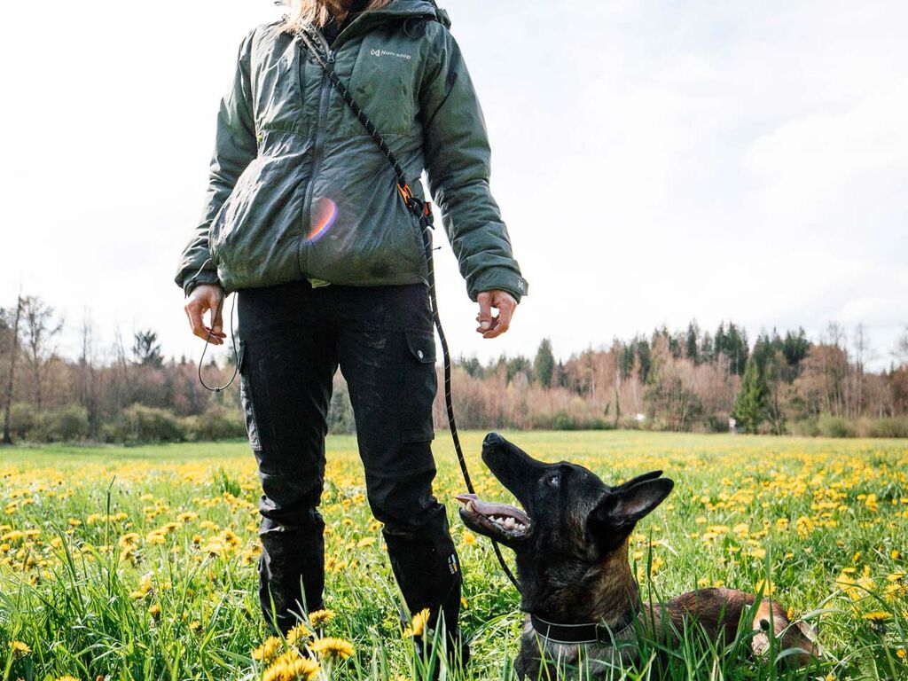Rock adjustable leash - justerbar hundesnor