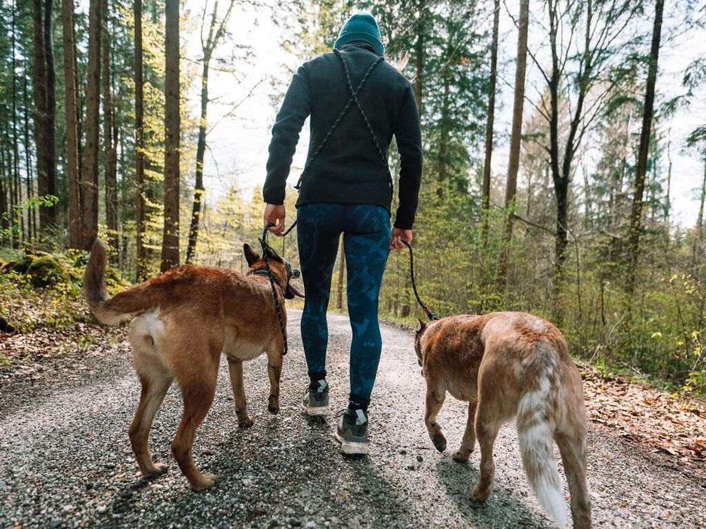Rock adjustable leash - justerbar hundesnor