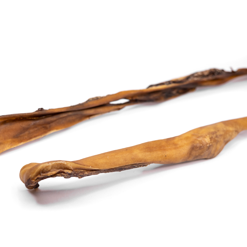 Pandebrask okse - 75 cm.