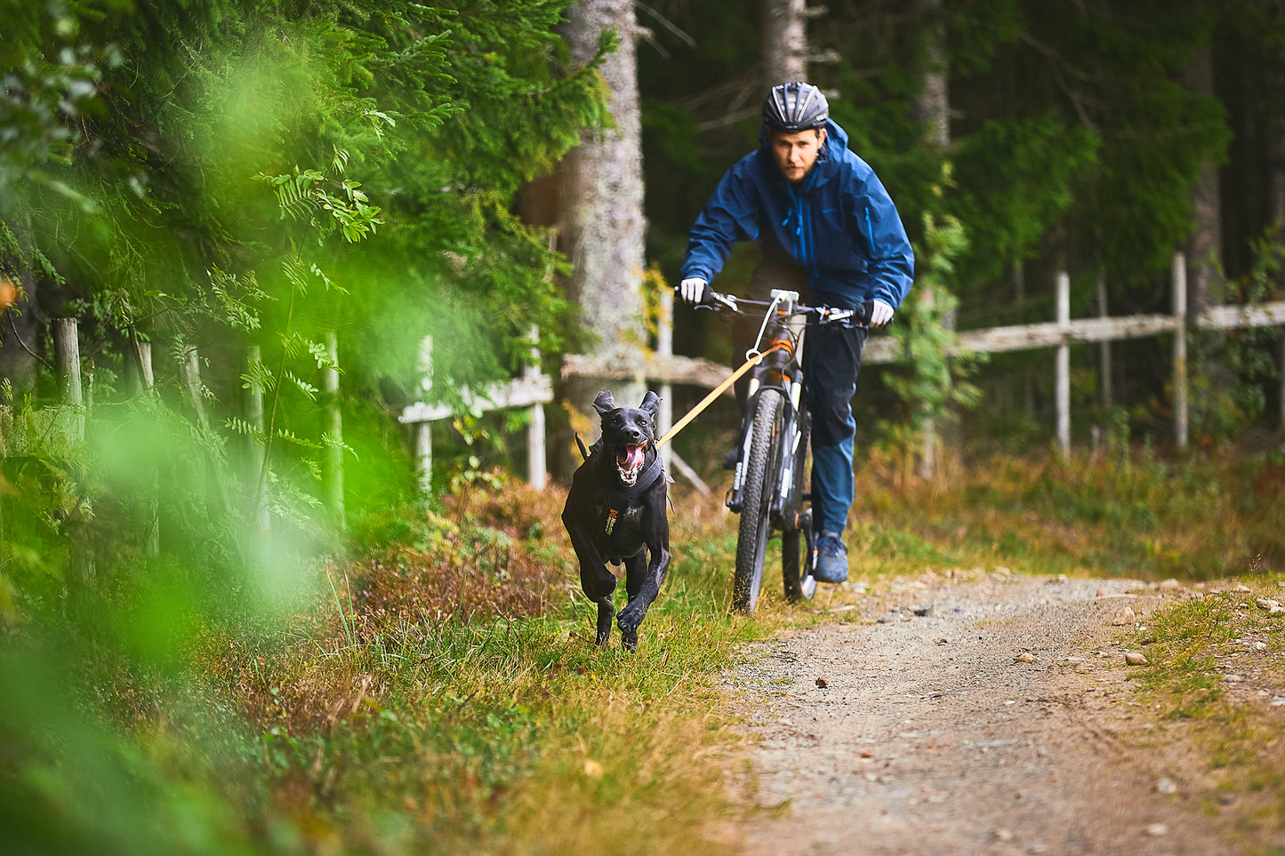 Bungee Leash - hundesnor af elastik