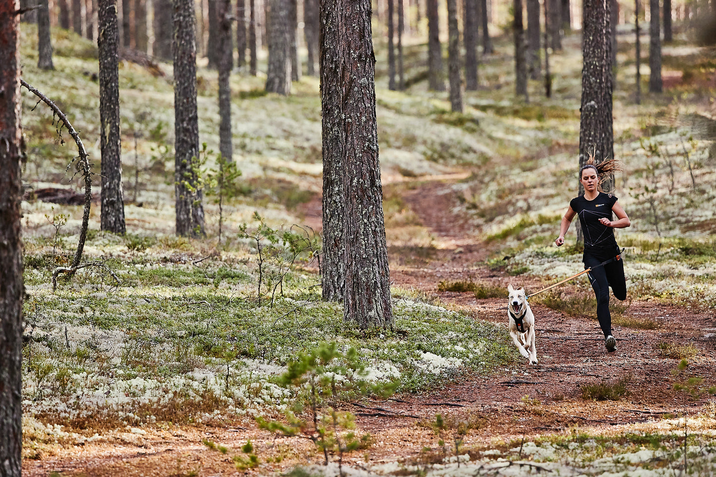 Bungee Leash - hundesnor af elastik