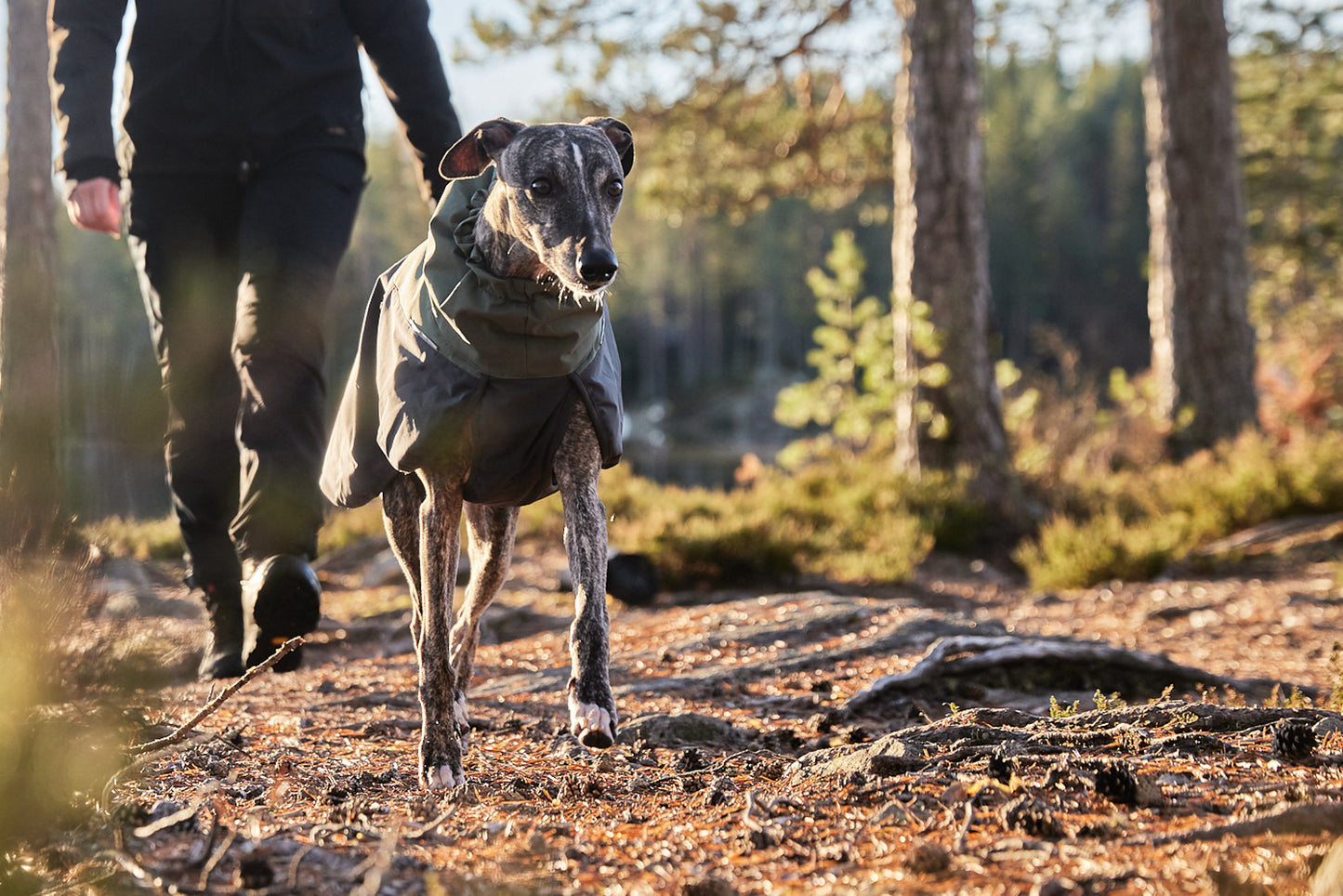 Glacier wool jacket 2.0 - vinterdækken med uld