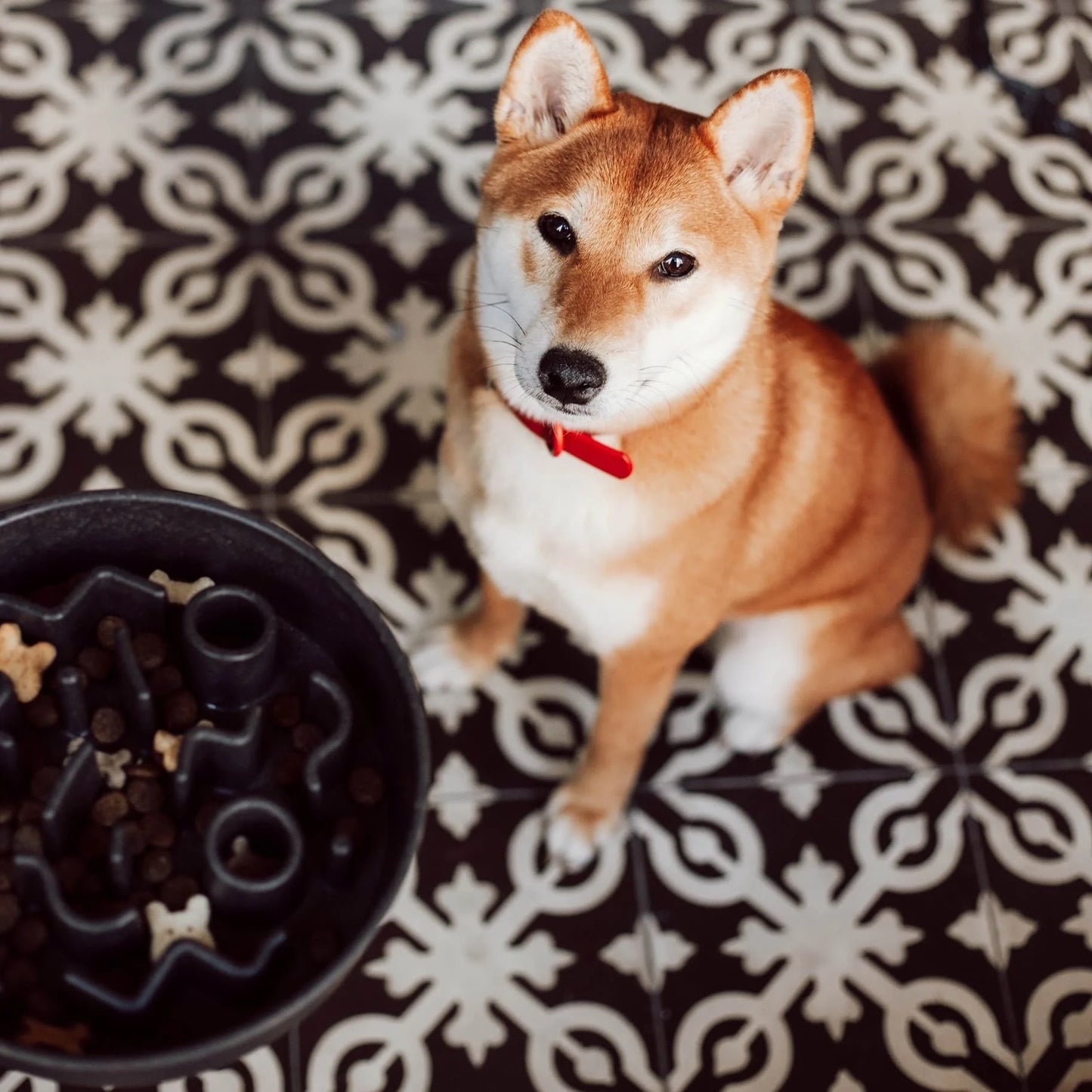 BAMBOO Slow Feeder – Lyse blå