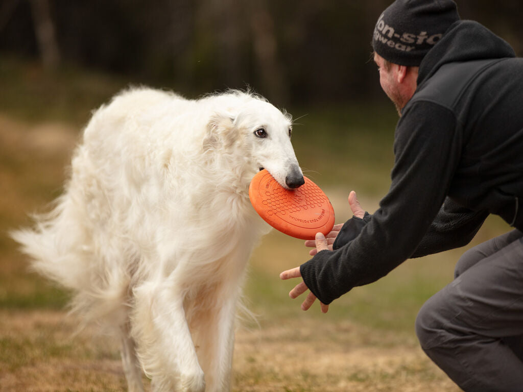 Hund leger med frisbee fra Non-stop Dogwear sammen med ejer