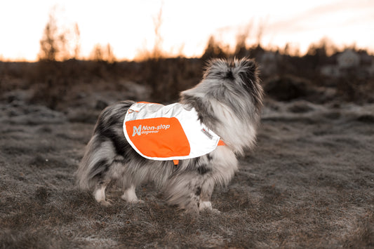 Reflection blanket - refleksvest til hunde