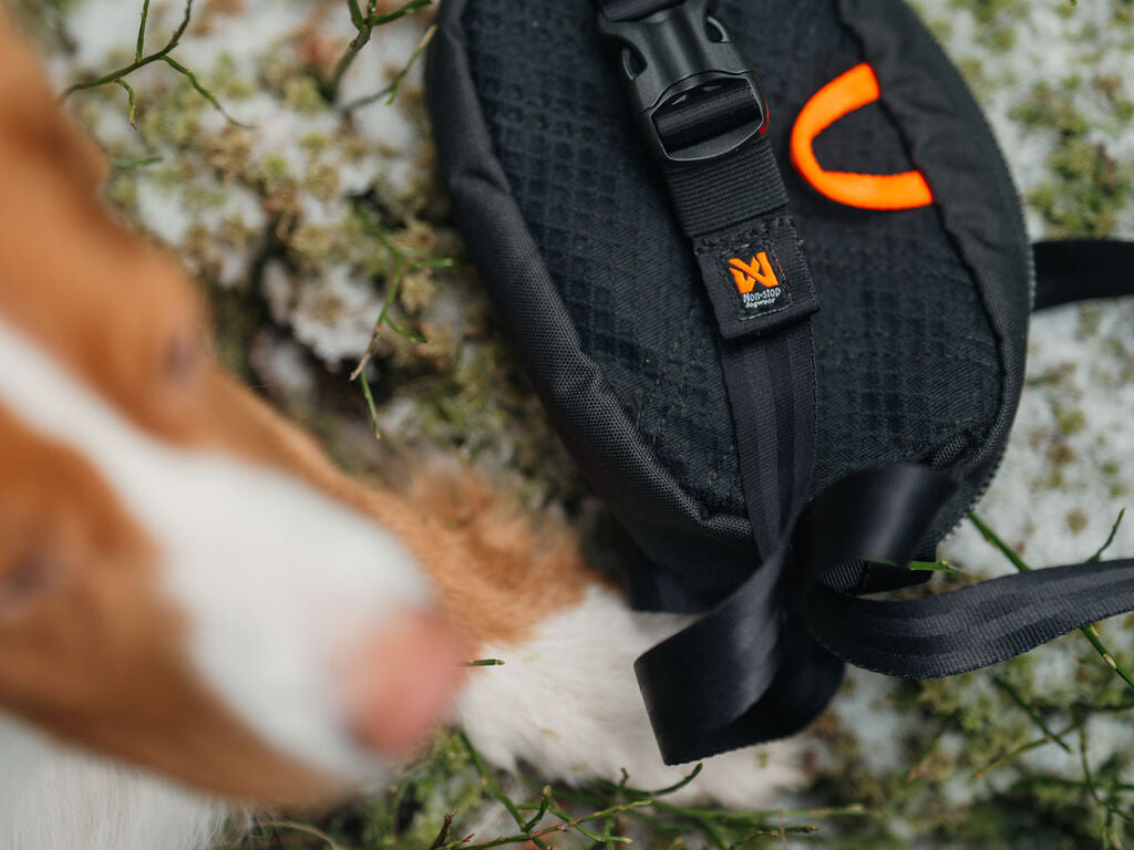 Trail quest fanny pack – Godbidstaske