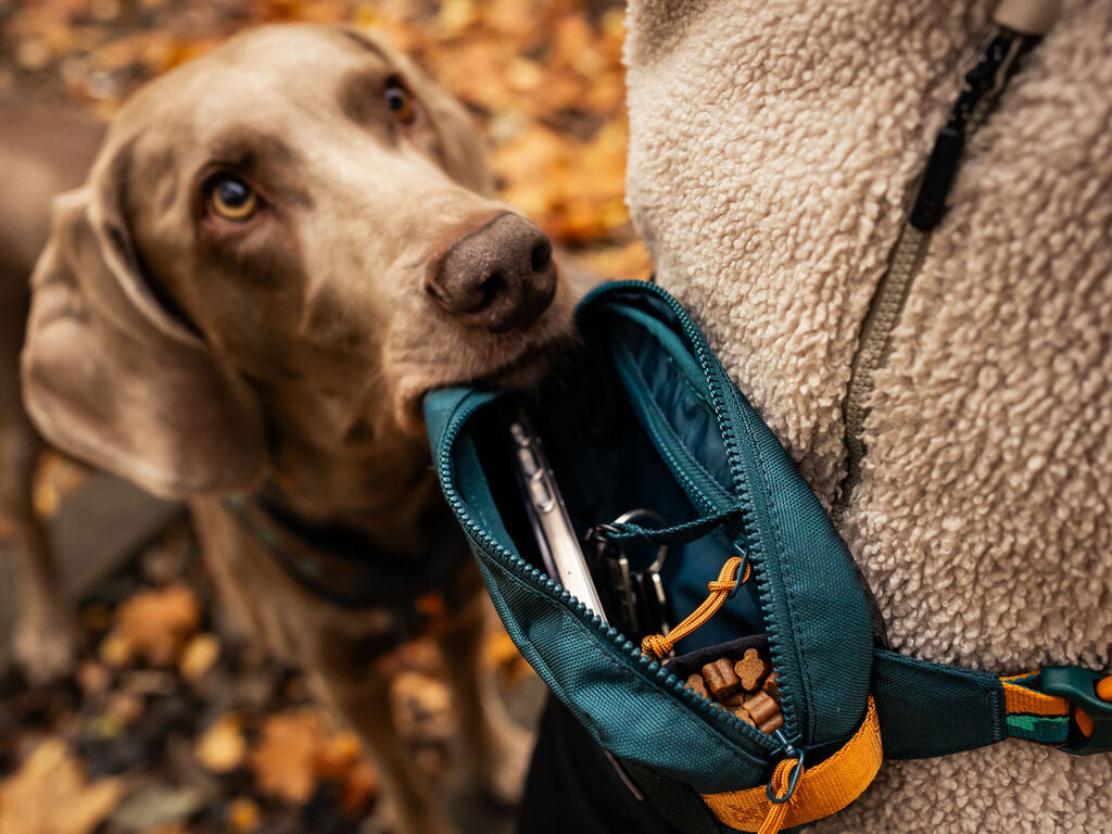 Trail quest fanny pack – Rachel Pohl Edition – Godbidstaske