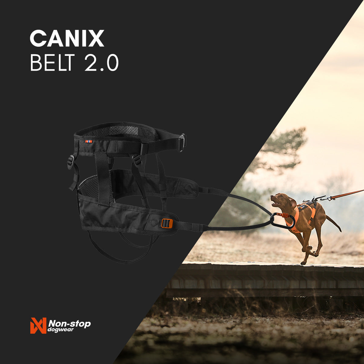 Canix belt 2.0 - løbebælte