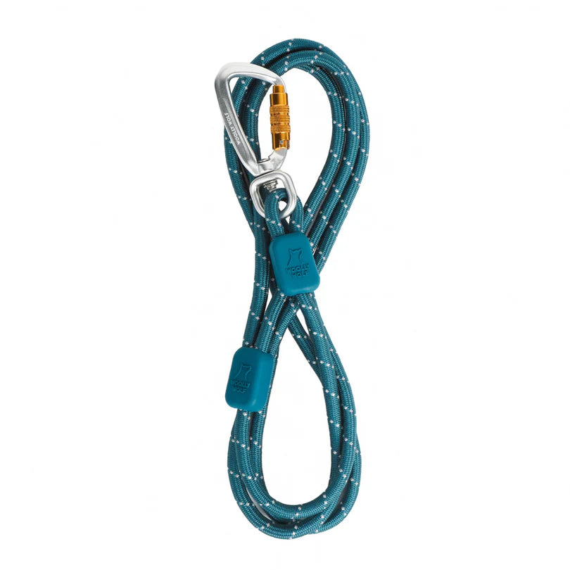 Rope Dog Leash Thin Deep Teal - Hundesnor
