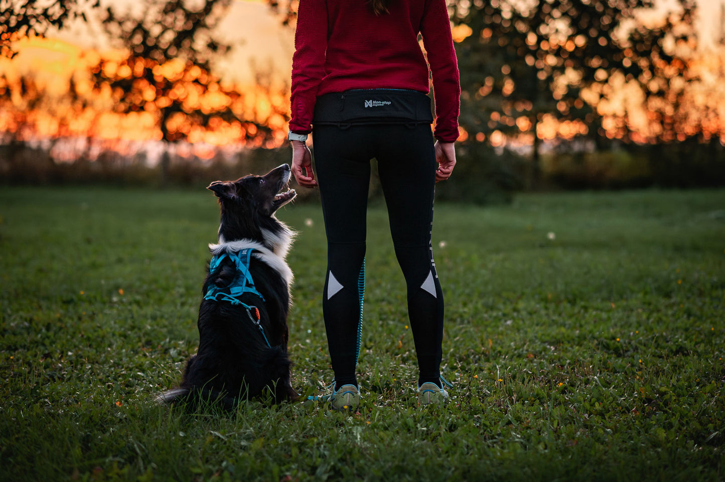 Rush harness - løbe/gå hundesele