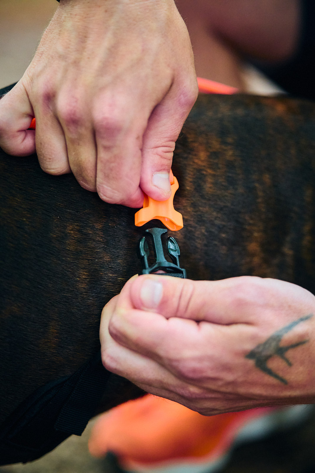 Rush harness - løbe/gå hundesele
