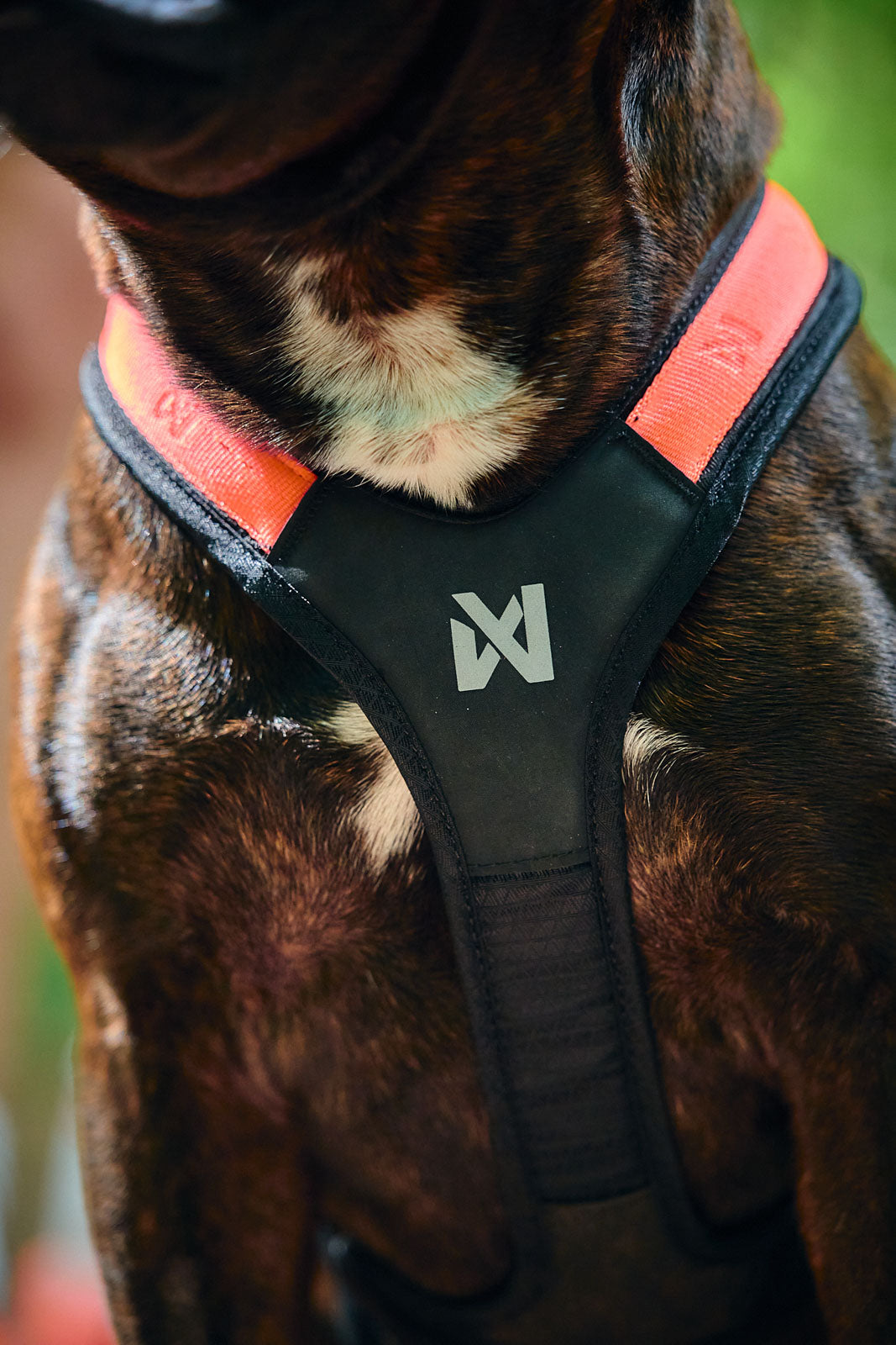 Rush harness - løbe/gå hundesele