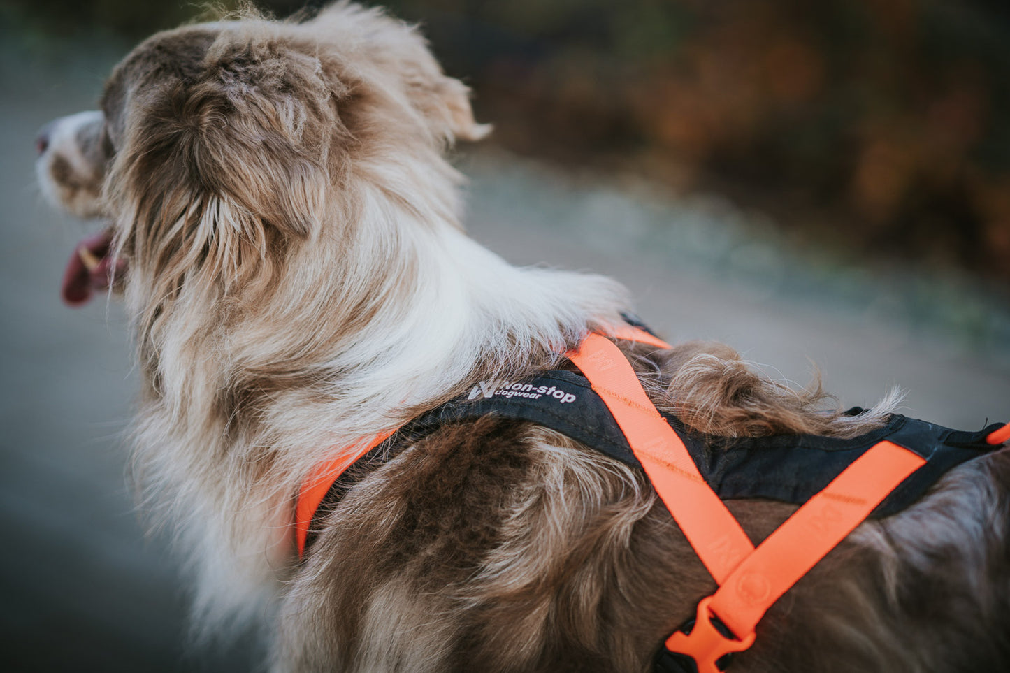 Rush harness - løbe/gå hundesele