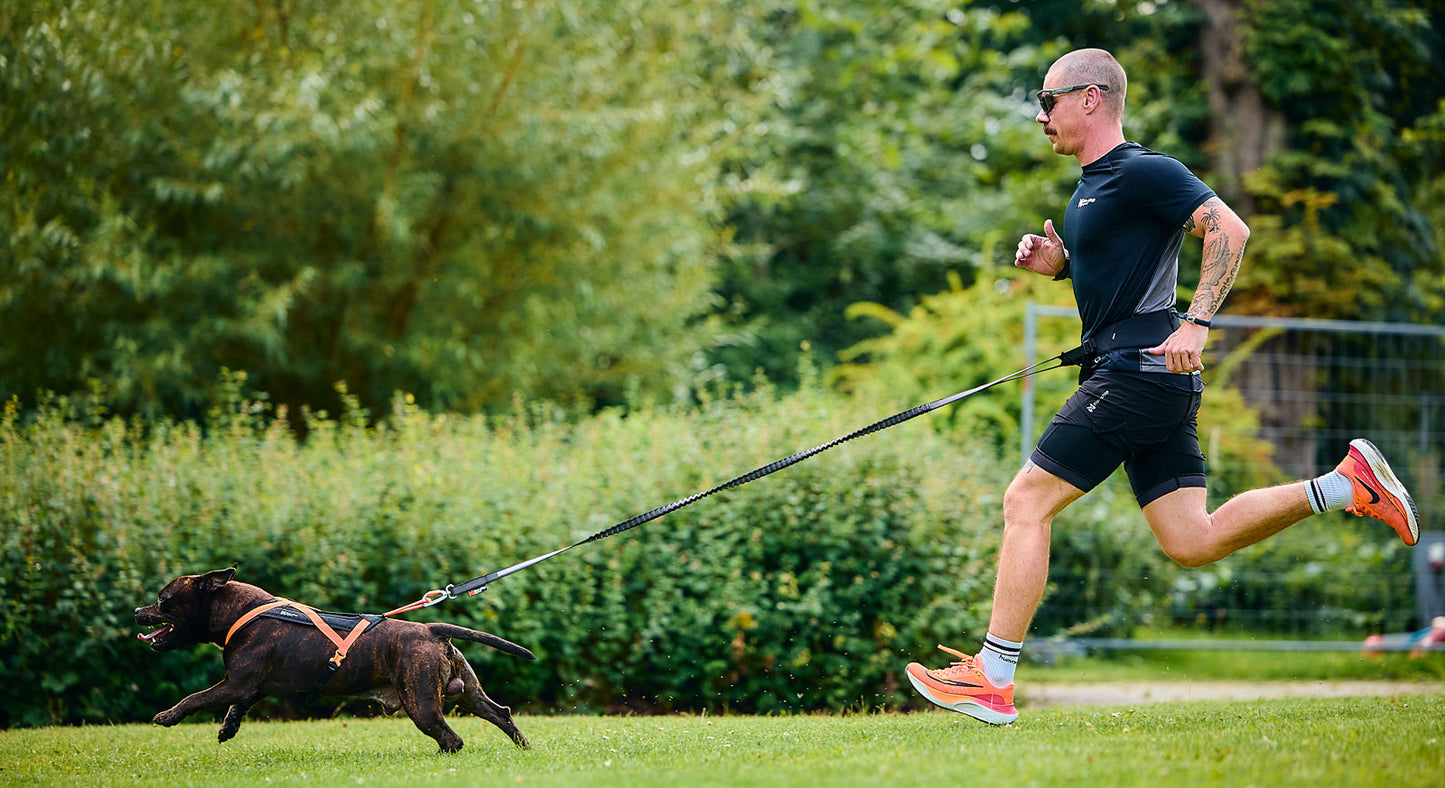 Rush harness - løbe/gå hundesele