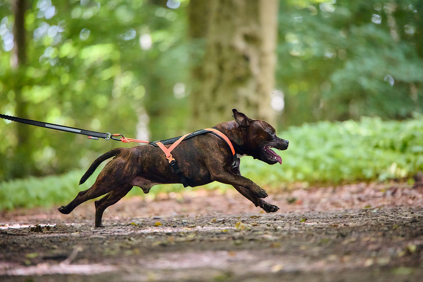 Rush harness - løbe/gå hundesele