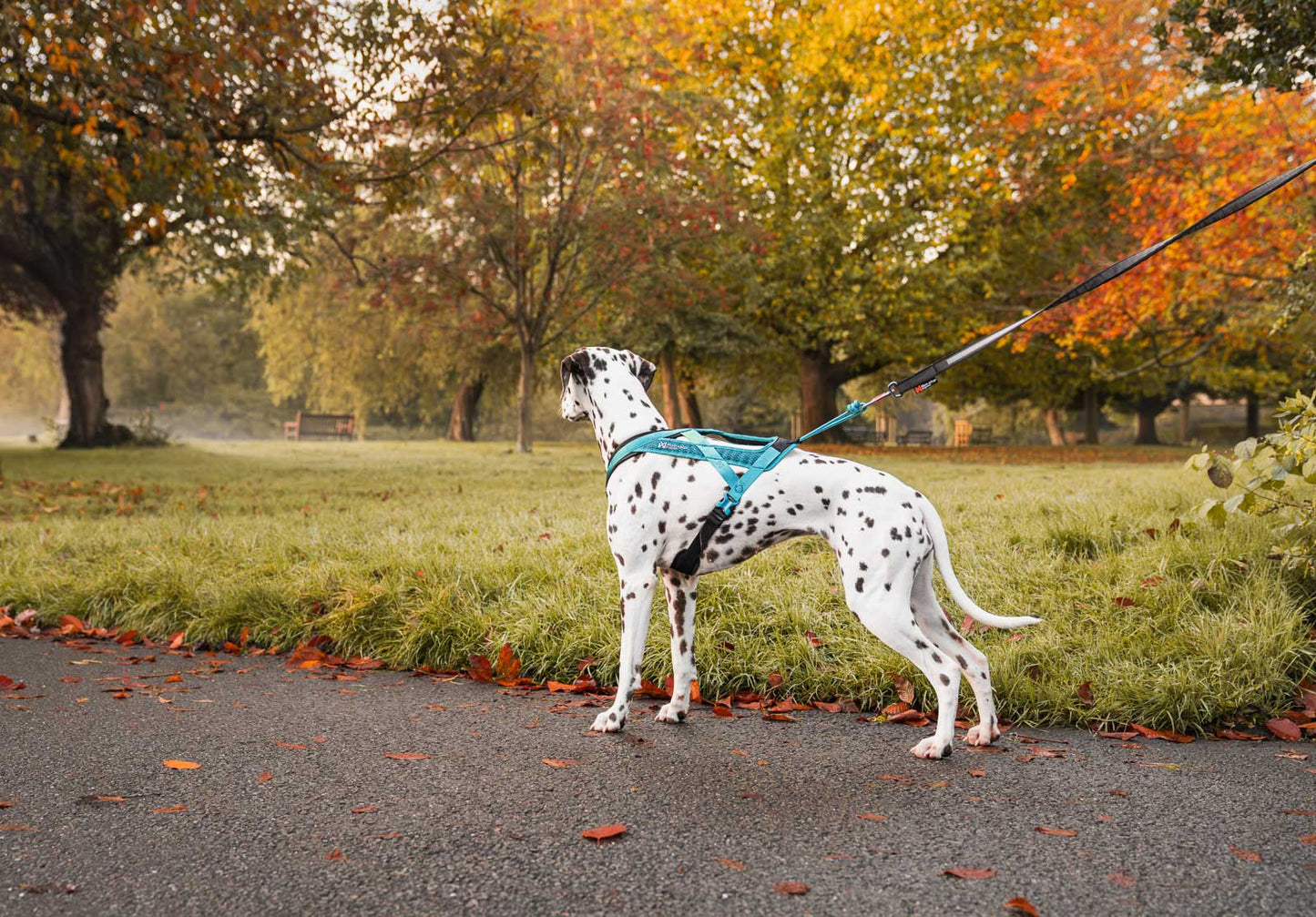 Rush harness - løbe/gå hundesele