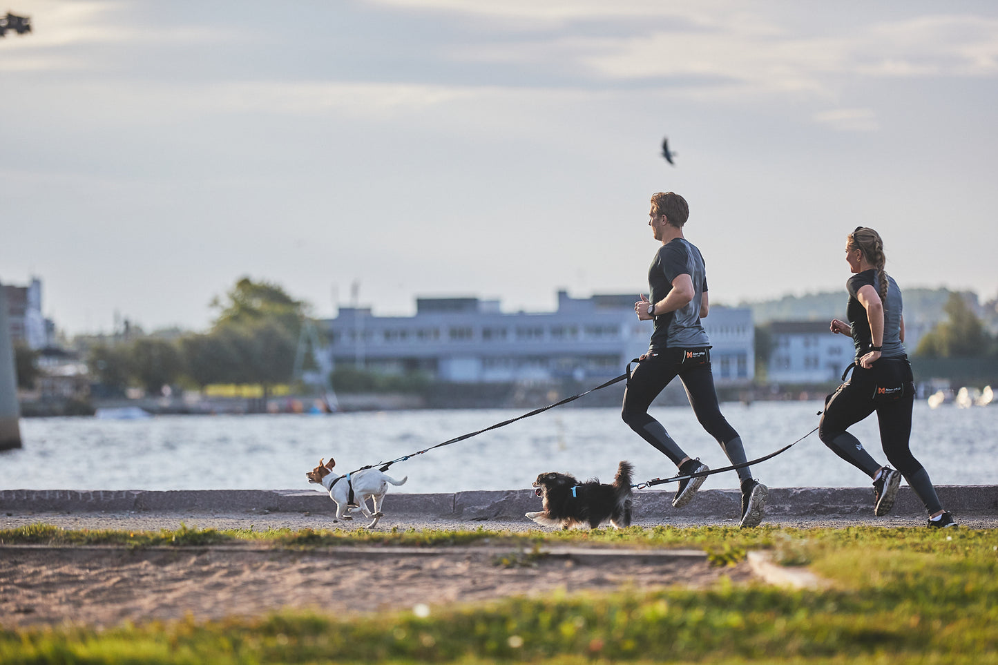 Touring bungee leash - hundesnor med elastik