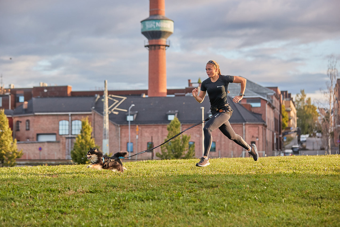 Touring bungee leash - hundesnor med elastik