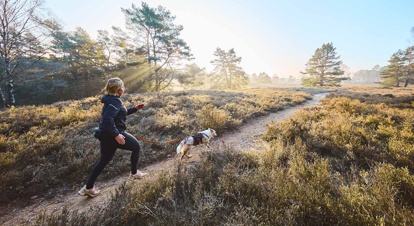Trail light belt - vandre- og løbebælte