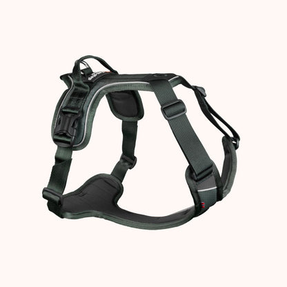 Ramble harness - hundesele