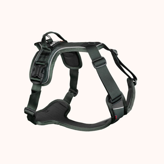 Ramble harness - hundesele