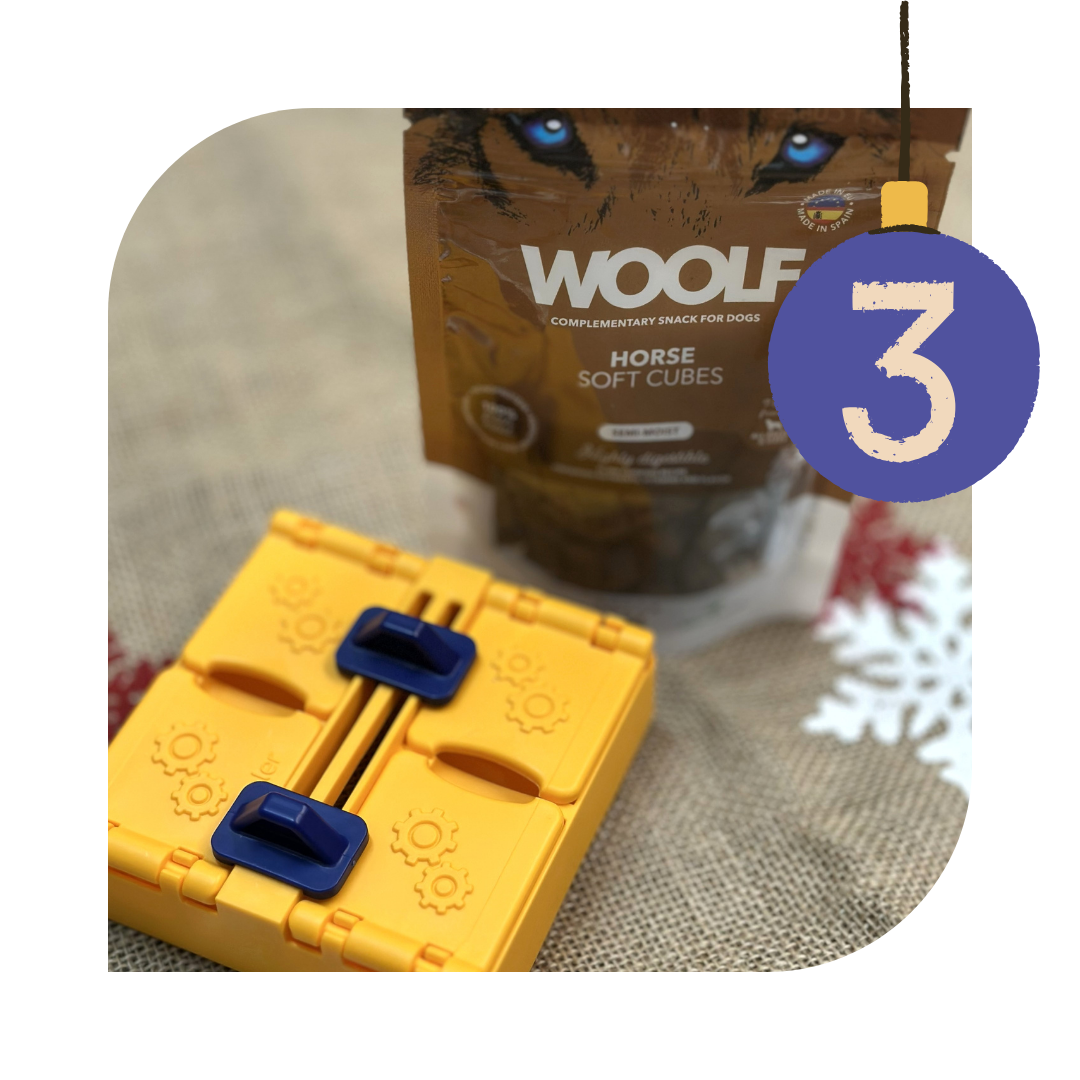 Adventskalender 2025 - Pawzler og Woolf