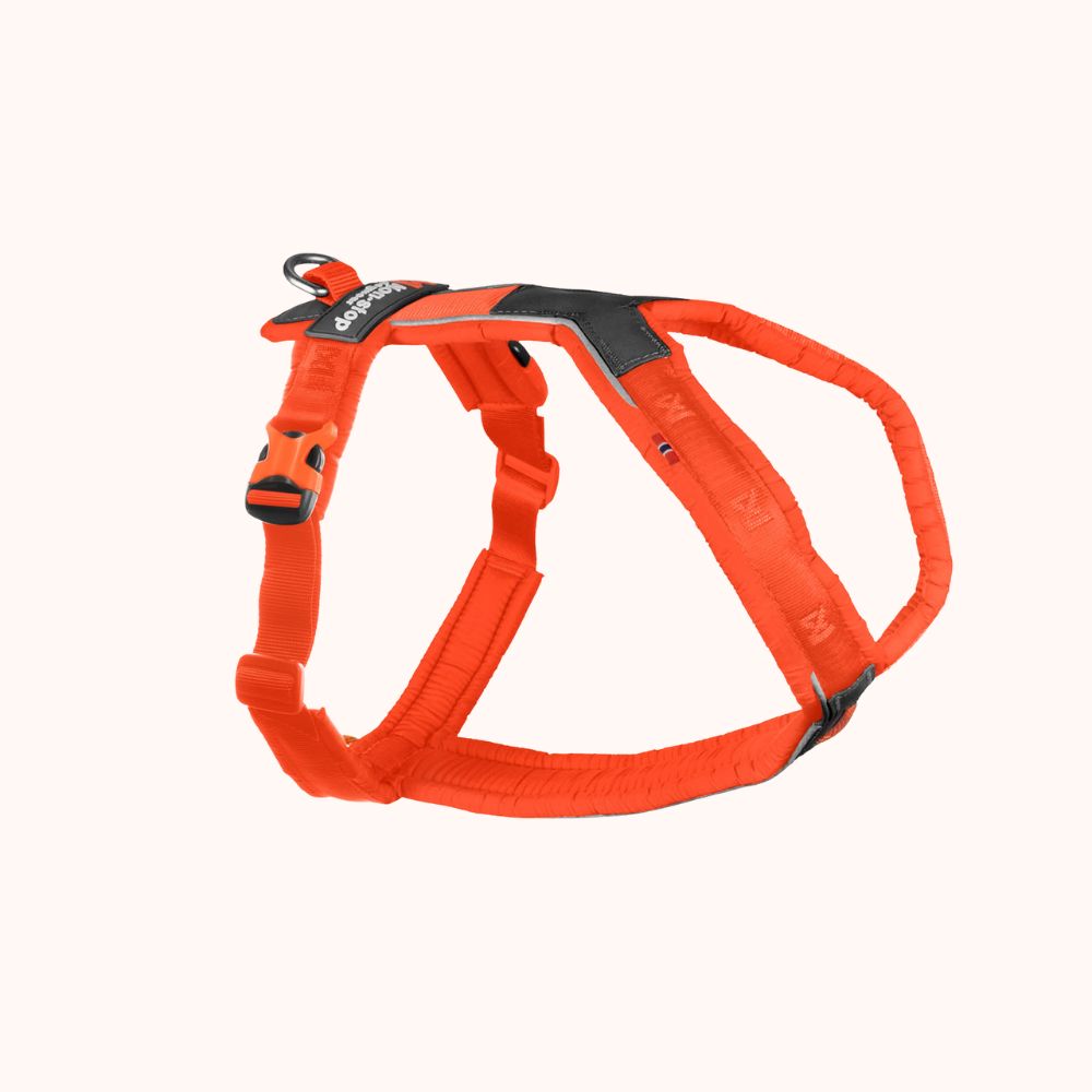 Line harness 5.0 - hundesele