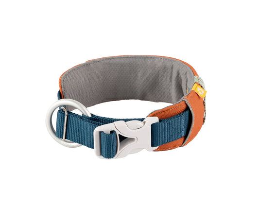 Alpha 360 collar Terracotta Mix - Hundehalsbånd