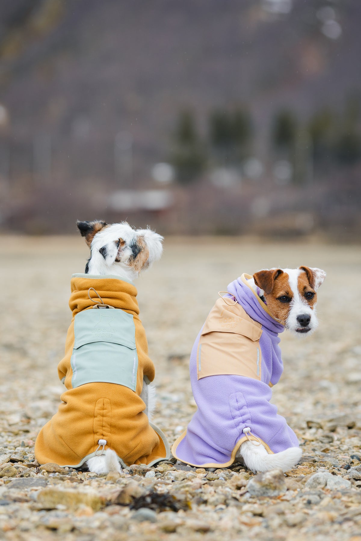 Alpha 360 Fleece Pullover – Lavender/Sand