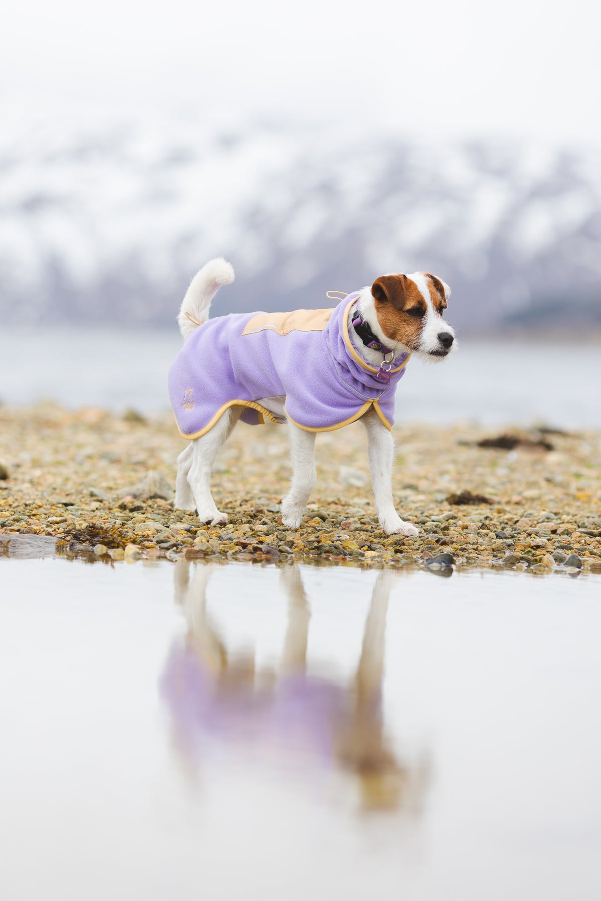 Alpha 360 Fleece Pullover – Lavender/Sand