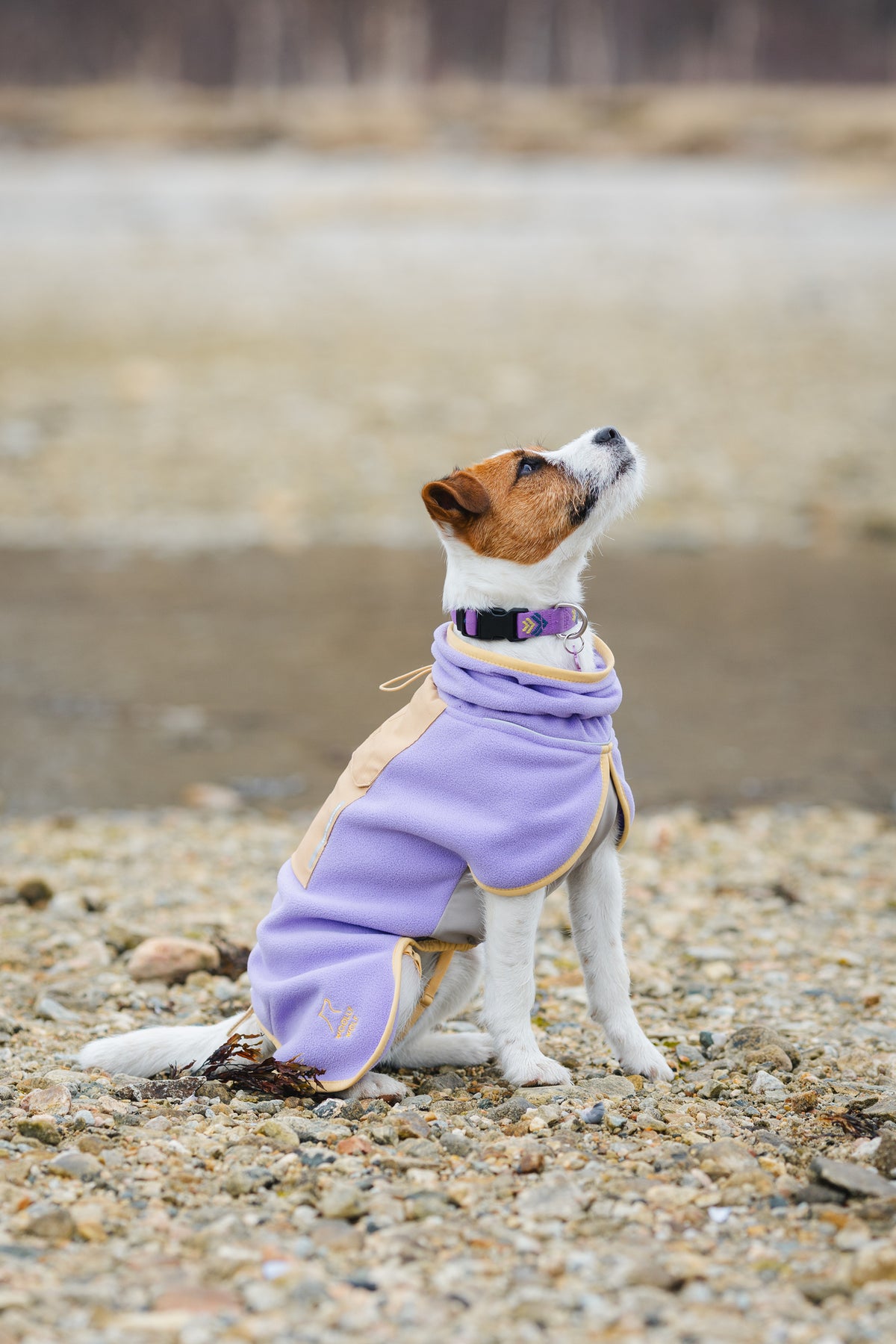 Alpha 360 Fleece Pullover – Lavender/Sand