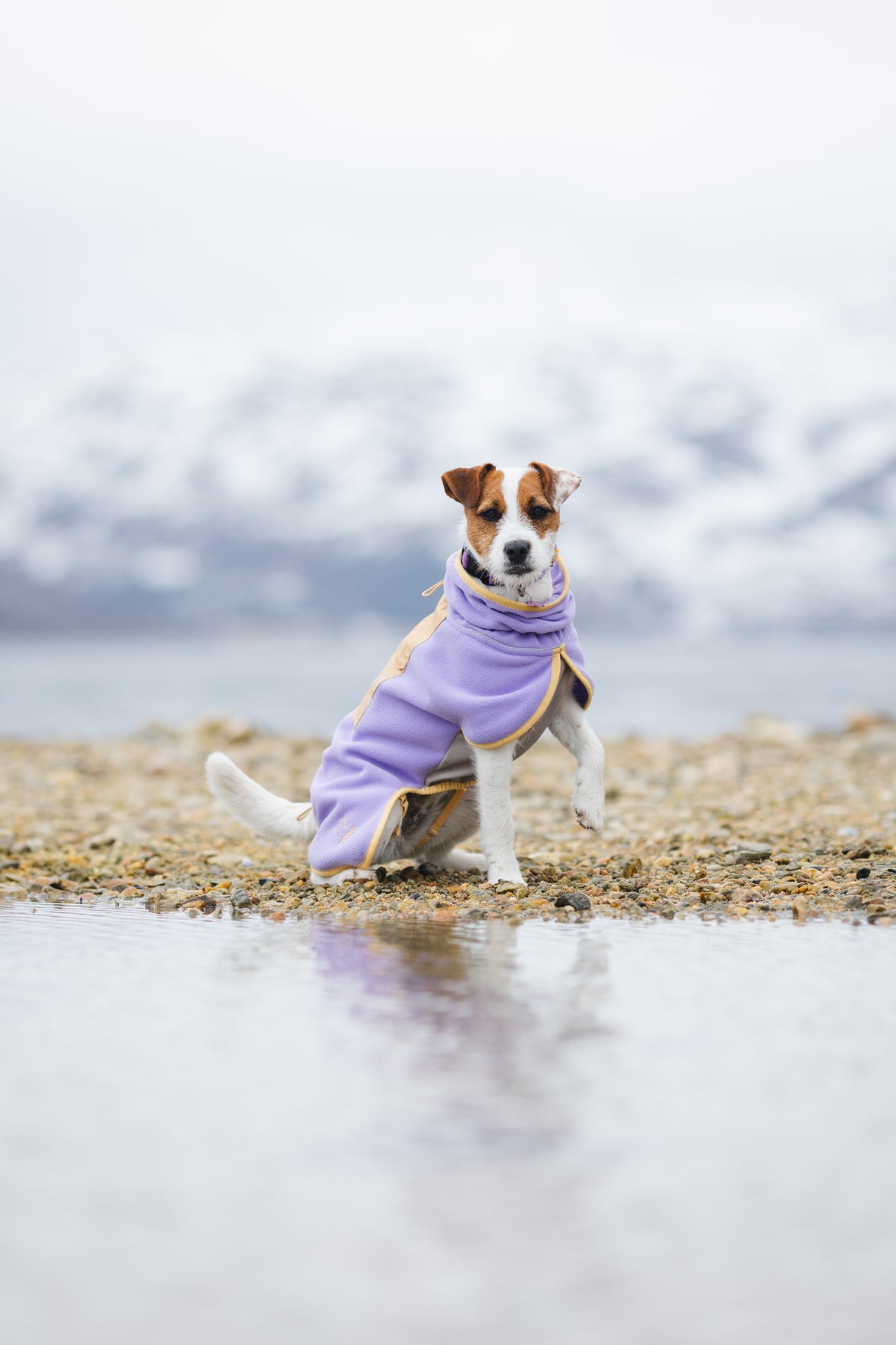 Alpha 360 Fleece Pullover – Lavender/Sand