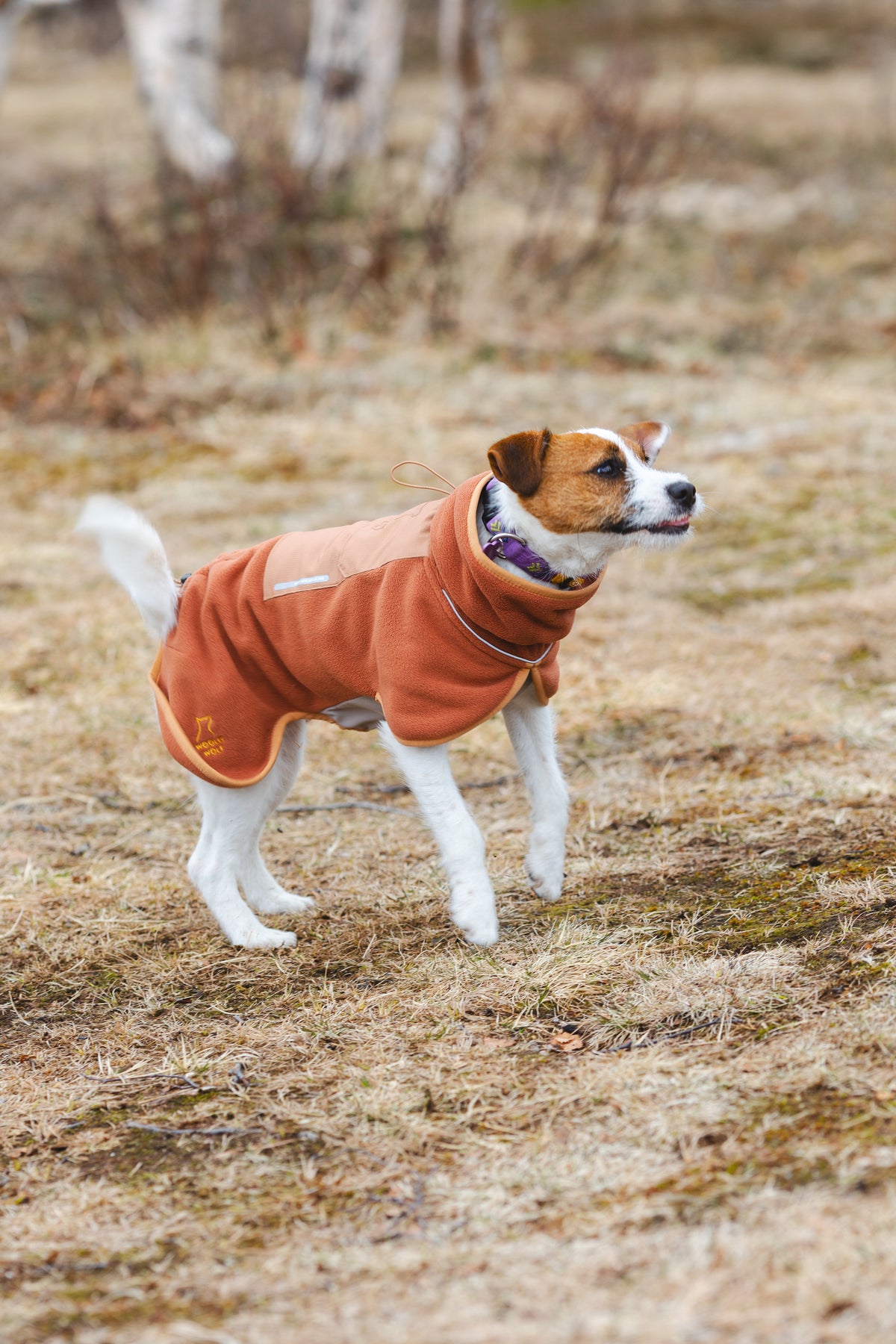 Alpha 360 Fleece Pullover – Terracotta/Clay