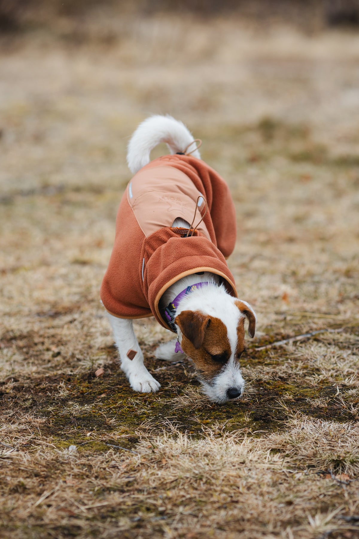 Alpha 360 Fleece Pullover – Terracotta/Clay