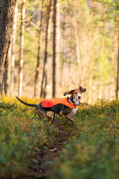 Protector cover 2.0 - synlighedsvest til hunde
