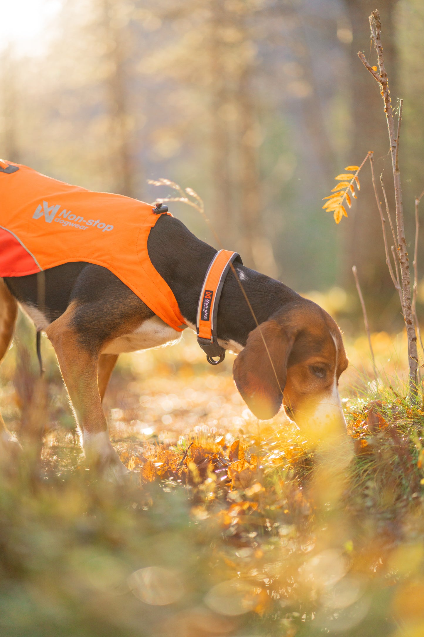 Protector cover 2.0 - synlighedsvest til hunde