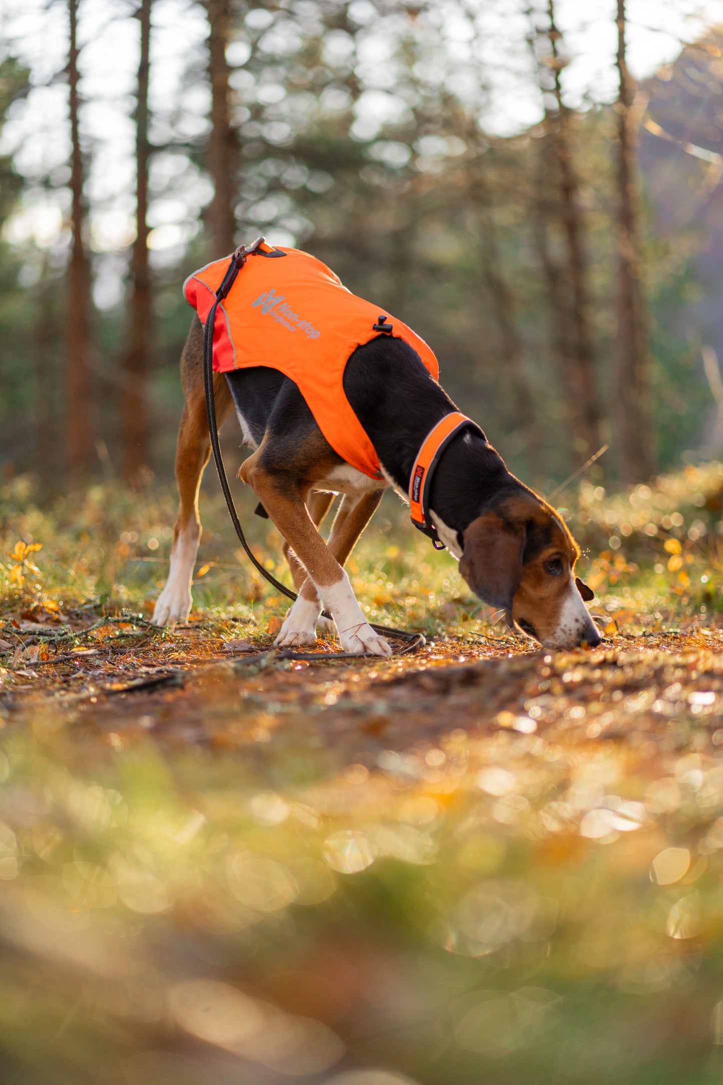 Protector cover 2.0 - synlighedsvest til hunde